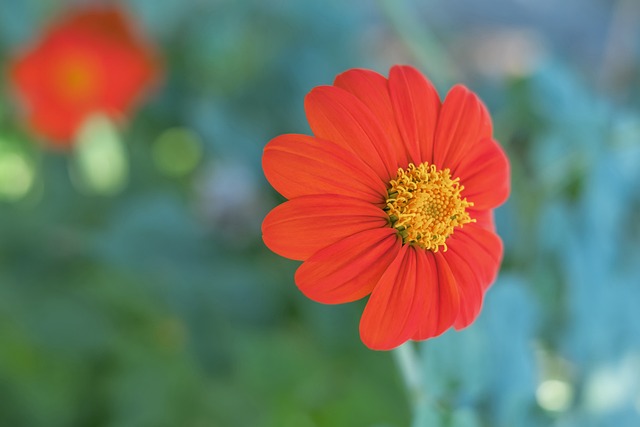 记者：李可并未参加申花赛前合练，明天能否首发存疑