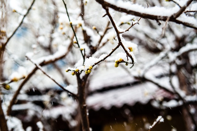 在经历人