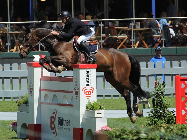 命中率震惊 命中率震惊